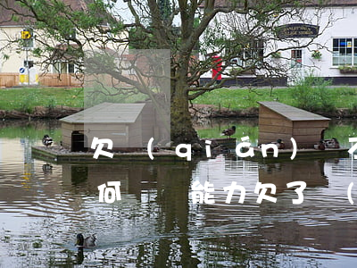 欠錢(qián)還不上沒(méi)有任何償還能力(欠了錢(qián)沒(méi)有償還能力怎么辦)