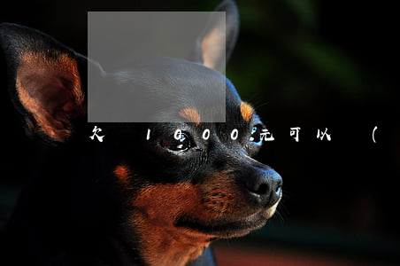 欠錢1000元可以報(bào)警嗎