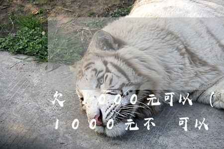 欠錢1000元可以報(bào)警嗎(欠錢1000元不還可以報(bào)警嗎)