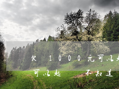 欠錢1000元可以起訴嗎(欠錢1000元可以起訴嗎不知道對(duì)方名字和住址)