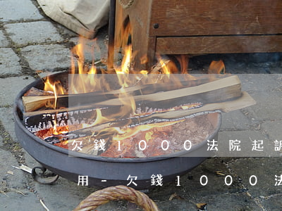 欠錢1000法院起訴流程及費(fèi)用-欠錢1000法院起訴流程及費(fèi)用多少