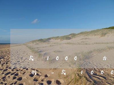欠錢1000萬無力償還會(huì)被判刑嗎-欠錢1000萬無力償還會(huì)被判刑嗎知乎