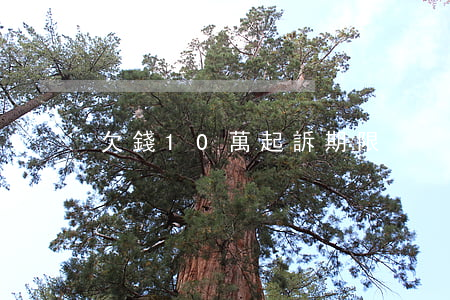 欠錢10萬起訴期限