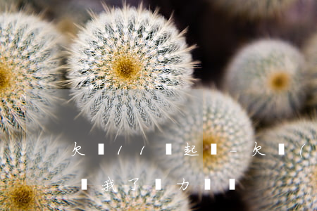 欠錢11萬起訴-欠個(gè)人11萬起訴我了無力償還