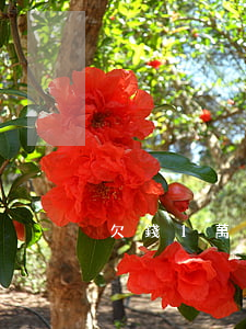 欠錢1萬多可以起訴嗎（欠錢一萬六能起訴嗎）