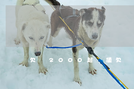 欠錢2000起訴值(欠錢2000起訴值)