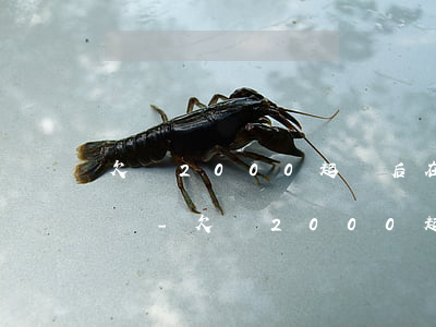 欠錢2000起訴后在幾年內(nèi)起訴-欠錢2000起訴后在幾年內(nèi)起訴有效