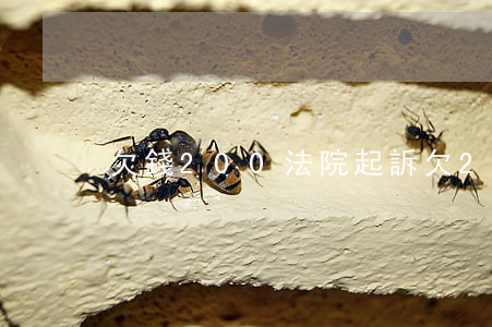 欠錢200法院起訴(欠200元怎么起訴)