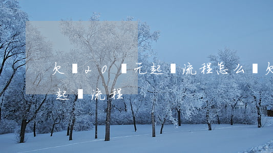 欠錢20萬元起訴流程怎么寫（欠錢20萬元起訴流程）