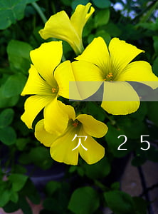 欠錢25元起訴(25塊錢起訴)