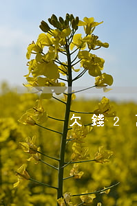 欠錢2萬起訴費(fèi)多少