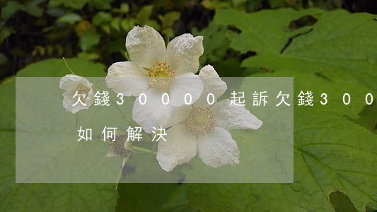 欠錢30000起訴 欠錢30000被起訴如何解決