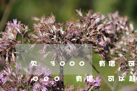 欠錢3000沒有借條可以起訴嗎-欠錢3000沒有借條可以起訴嗎法院