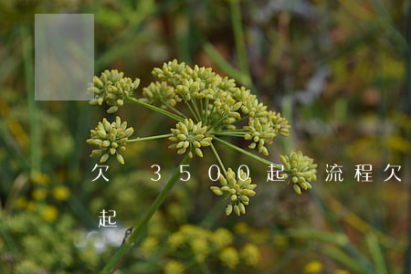 欠錢3500起訴流程 欠錢3500元可以起訴嗎