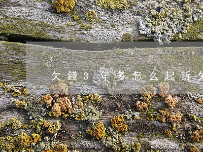 欠錢3年多怎么起訴(欠錢三年)