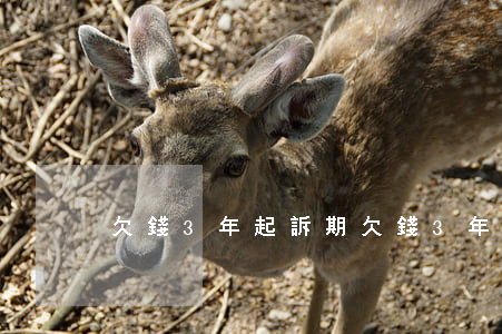 欠錢3年起訴期(欠錢3年起訴期)