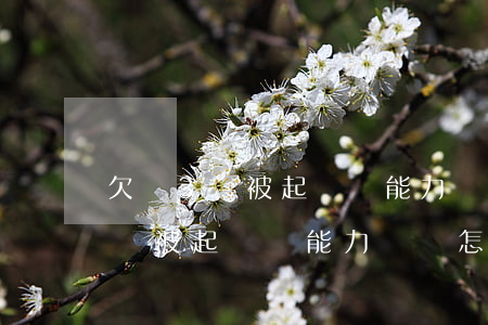 欠錢3萬被起訴無能力償還怎么辦-欠錢3萬被起訴無能力償還怎么辦呢