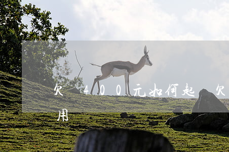 欠錢400元如何起訴(欠400塊錢起訴有用嗎)