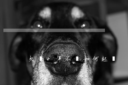 欠錢4年不還如何起訴