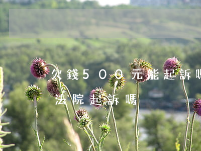 欠錢500元能起訴嗎(欠500塊錢可以到法院起訴嗎)