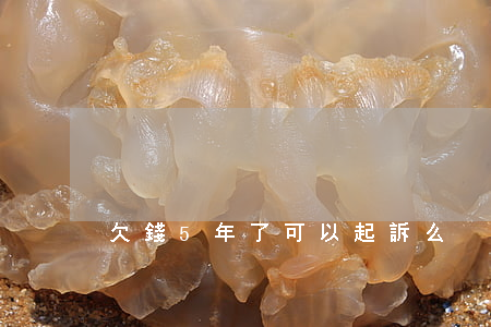 欠錢5年了可以起訴么