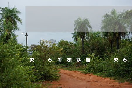 欠錢6千可以起訴嗎(欠6千塊錢可以起訴嗎)
