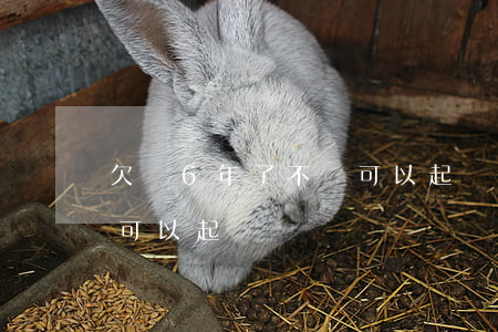 欠錢6年了不還可以起訴嗎(欠六千塊錢不還可以起訴嗎)