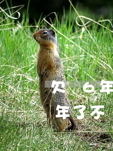 欠錢6年聯(lián)系不上起訴(欠錢6年了不還可以起訴嗎)