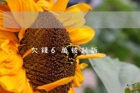欠錢6萬被起訴