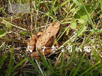 欠錢7年了可以起訴嗎(欠錢7年不還怎么辦)