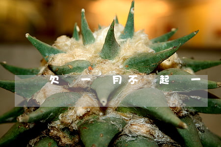 欠錢一個月不還起訴(一個月不還錢會怎么樣)
