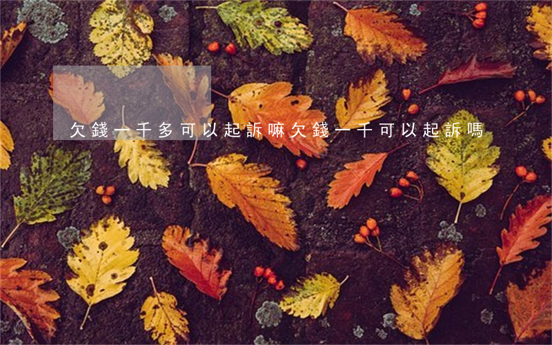 欠錢一千多可以起訴嘛 欠錢一千可以起訴嗎