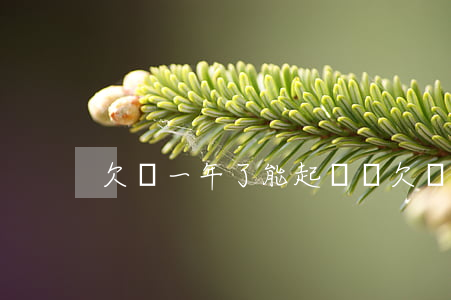 欠錢一年了能起訴嗎(欠錢一年了可以起訴嗎)