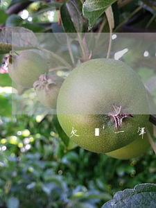 欠錢一年起訴后-一年不還錢起訴