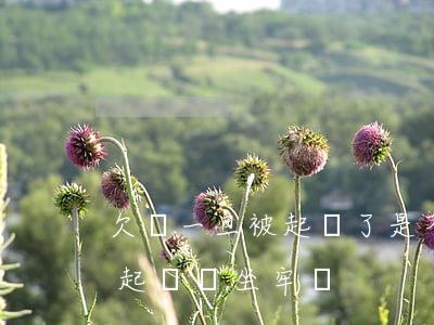 欠錢一旦被起訴了是不是就要坐牢了（因欠錢起訴會坐牢嗎）