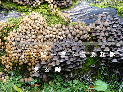 欠錢一直不還要起訴-欠錢不還起訴不管用怎么辦