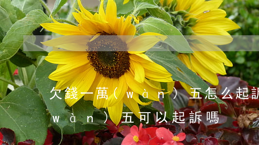 欠錢一萬(wàn)五怎么起訴(欠款一萬(wàn)五可以起訴嗎)