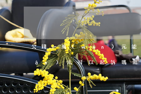欠錢一萬(wàn)元能起訴嗎(欠1萬(wàn)元可以起訴嗎,需要花多少錢)