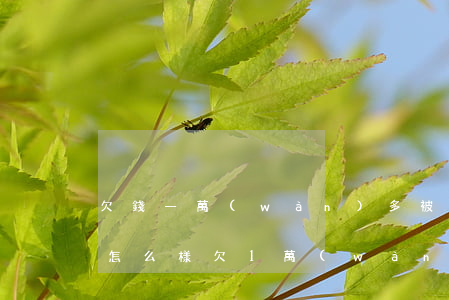 欠錢一萬(wàn)多被起訴會(huì)怎么樣(欠1萬(wàn)元錢被起訴)
