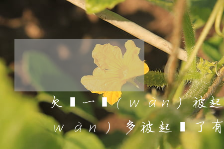 欠錢一萬(wàn)被起訴后果(欠款一萬(wàn)多被起訴了有什么影響嗎)