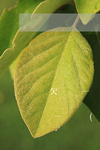 欠錢一萬(wàn)起訴費(fèi)(欠款一萬(wàn)多起訴費(fèi)是多少)
