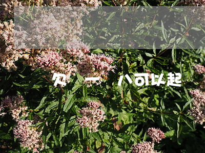欠錢一萬八可以起訴嗎(欠錢一萬五可以起訴嗎)
