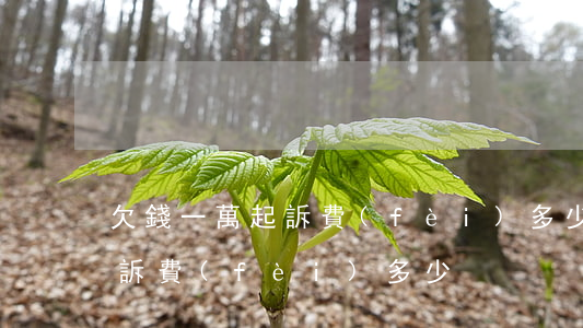 欠錢一萬起訴費(fèi)多少（欠錢一萬起訴費(fèi)多少）