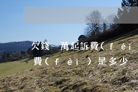 欠錢一萬起訴費(fèi)(欠款一萬多起訴費(fèi)是多少)
