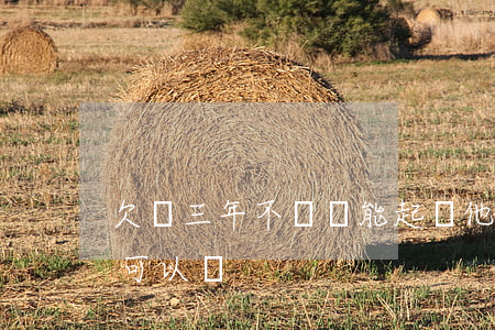 欠錢三年不還還能起訴他嗎(欠錢三年后不還可以嗎)