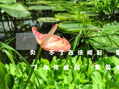 欠錢不了去法院起訴需要多少費用-欠錢不了去法院起訴需要多少費用呢