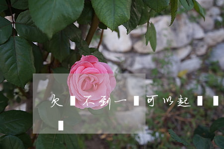 欠錢不到一萬可以起訴嗎(欠一萬塊錢能起訴嗎)