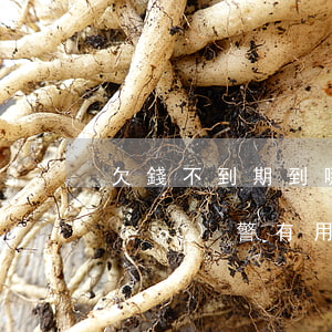 欠錢不到期到哪里起訴(欠錢到期不還報(bào)警有用嗎)