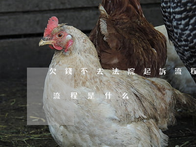 欠錢不去法院起訴流程(欠錢不給去法院起訴流程是什么)