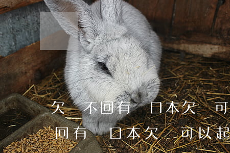 欠錢不回有戶口本欠條可以起訴嗎-欠錢不回有戶口本欠條可以起訴嗎有效嗎